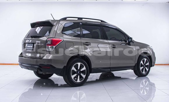ซื้อ รถมือสอง Subaru Forester สีน้ำตาล รถยนต์ ใน %{เมือง} ใน กรุงเทพมหานคร ซื้อ รถมือสอง Subaru Forester สีน้ำตาล รถยนต์ ใน %{เมือง} ใน กรุงเทพมหานคร