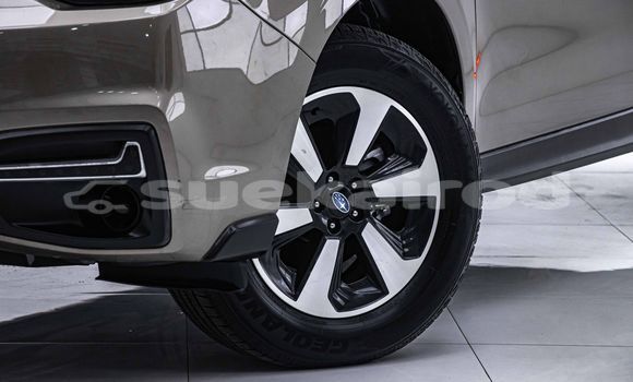 ซื้อ รถมือสอง Subaru Forester สีน้ำตาล รถยนต์ ใน %{เมือง} ใน กรุงเทพมหานคร ซื้อ รถมือสอง Subaru Forester สีน้ำตาล รถยนต์ ใน %{เมือง} ใน กรุงเทพมหานคร