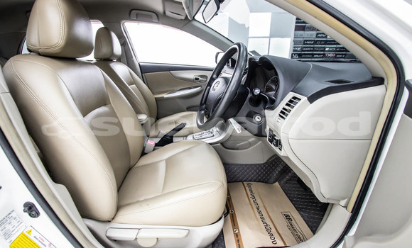 Buy Used Toyota Altis White Car in Bangkok in Bangkok Buy Used Toyota Altis White Car in Bangkok in Bangkok