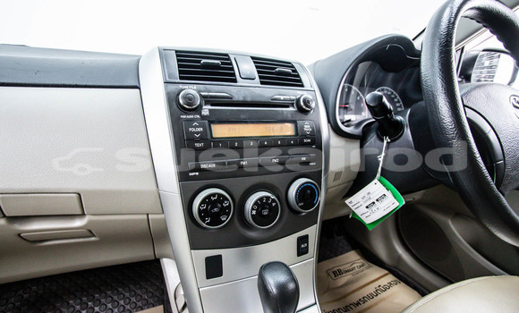 Buy Used Toyota Altis White Car in Bangkok in Bangkok Buy Used Toyota Altis White Car in Bangkok in Bangkok