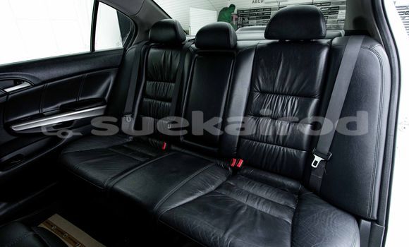 Buy Used Honda Accord White Car in Bangkok in Bangkok Buy Used Honda Accord White Car in Bangkok in Bangkok