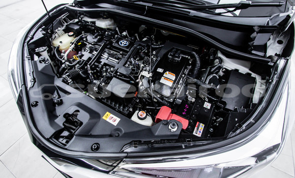 Buy Used Toyota C-HR White Car in Bangkok in Bangkok Buy Used Toyota C-HR White Car in Bangkok in Bangkok