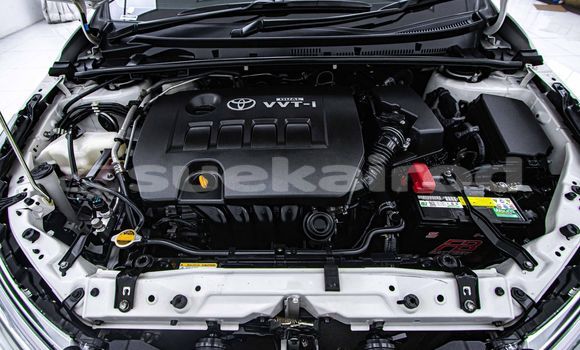 Buy Used Toyota Altis White Car in Bangkok in Bangkok Buy Used Toyota Altis White Car in Bangkok in Bangkok