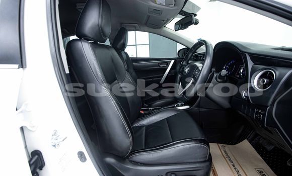 Buy Used Toyota Altis White Car in Bangkok in Bangkok Buy Used Toyota Altis White Car in Bangkok in Bangkok