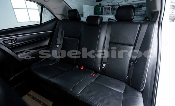 Buy Used Toyota Altis White Car in Bangkok in Bangkok Buy Used Toyota Altis White Car in Bangkok in Bangkok