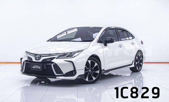 Buy Used Toyota Altis White Car in Bangkok in Bangkok