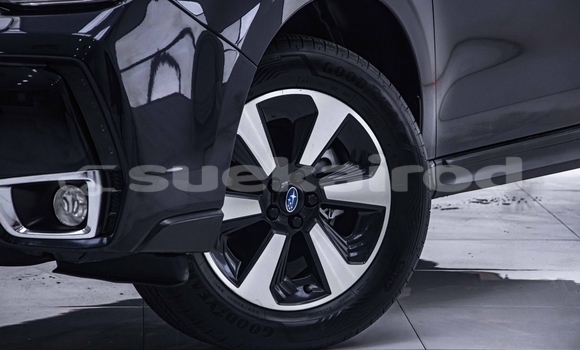 Buy Used Subaru Forester Black Car in Bangkok in Bangkok Buy Used Subaru Forester Black Car in Bangkok in Bangkok
