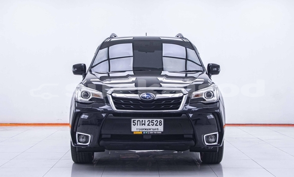 Buy Used Subaru Forester Black Car in Bangkok in Bangkok Buy Used Subaru Forester Black Car in Bangkok in Bangkok