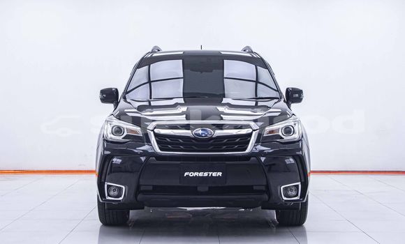 Buy Used Subaru Forester Black Car in Bangkok in Bangkok Buy Used Subaru Forester Black Car in Bangkok in Bangkok