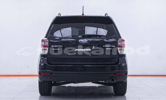 Buy Used Subaru Forester Black Car in Bangkok in Bangkok Buy Used Subaru Forester Black Car in Bangkok in Bangkok