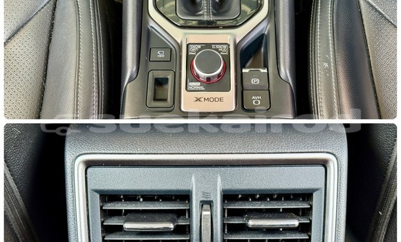 ซื้อ รถมือสอง Subaru Forester ขาว รถยนต์ ใน %{เมือง} ใน กรุงเทพมหานคร ซื้อ รถมือสอง Subaru Forester ขาว รถยนต์ ใน %{เมือง} ใน กรุงเทพมหานคร