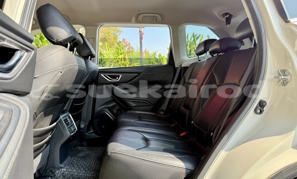 ซื้อ รถมือสอง Subaru Forester ขาว รถยนต์ ใน %{เมือง} ใน กรุงเทพมหานคร ซื้อ รถมือสอง Subaru Forester ขาว รถยนต์ ใน %{เมือง} ใน กรุงเทพมหานคร