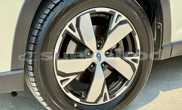 ซื้อ รถมือสอง Subaru Forester ขาว รถยนต์ ใน %{เมือง} ใน กรุงเทพมหานคร ซื้อ รถมือสอง Subaru Forester ขาว รถยนต์ ใน %{เมือง} ใน กรุงเทพมหานคร