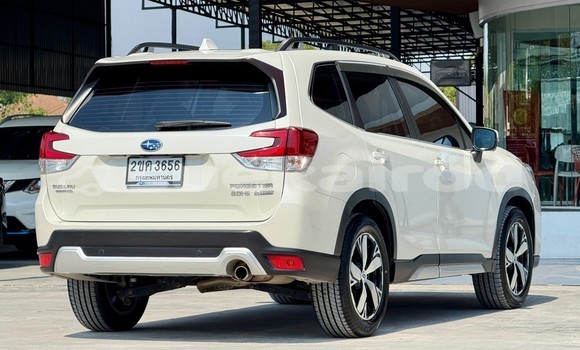 ซื้อ รถมือสอง Subaru Forester ขาว รถยนต์ ใน %{เมือง} ใน กรุงเทพมหานคร ซื้อ รถมือสอง Subaru Forester ขาว รถยนต์ ใน %{เมือง} ใน กรุงเทพมหานคร