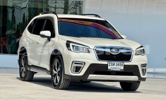 ซื้อ รถมือสอง Subaru Forester ขาว รถยนต์ ใน %{เมือง} ใน กรุงเทพมหานคร ซื้อ รถมือสอง Subaru Forester ขาว รถยนต์ ใน %{เมือง} ใน กรุงเทพมหานคร
