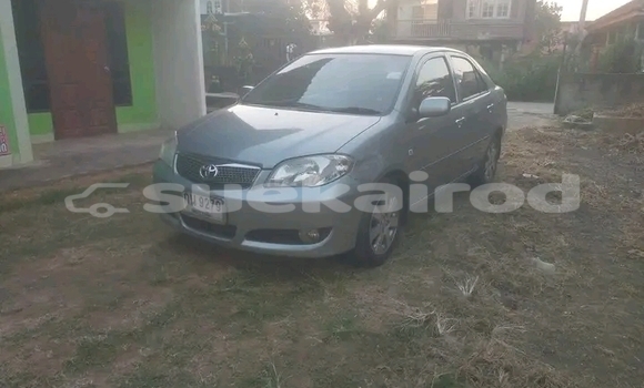 Buy Used Toyota Vios Other Car in Chiang Rai in Chiang Rai Buy Used Toyota Vios Other Car in Chiang Rai in Chiang Rai