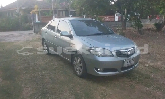 Buy Used Toyota Vios Other Car in Chiang Rai in Chiang Rai Buy Used Toyota Vios Other Car in Chiang Rai in Chiang Rai