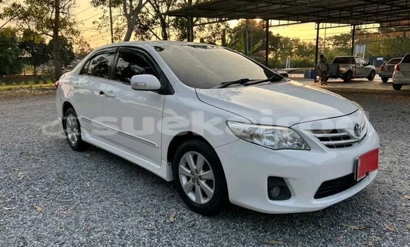 ซื้อ รถมือสอง Toyota Corolla ขาว รถยนต์ ใน %{เมือง} ใน กาฬสินธุ์ ซื้อ รถมือสอง Toyota Corolla ขาว รถยนต์ ใน %{เมือง} ใน กาฬสินธุ์