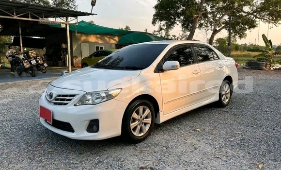 ซื้อ รถมือสอง Toyota Corolla ขาว รถยนต์ ใน %{เมือง} ใน กาฬสินธุ์ ซื้อ รถมือสอง Toyota Corolla ขาว รถยนต์ ใน %{เมือง} ใน กาฬสินธุ์