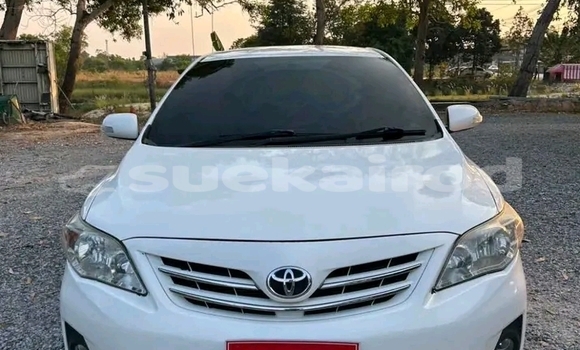 ซื้อ รถมือสอง Toyota Corolla ขาว รถยนต์ ใน %{เมือง} ใน กาฬสินธุ์ ซื้อ รถมือสอง Toyota Corolla ขาว รถยนต์ ใน %{เมือง} ใน กาฬสินธุ์
