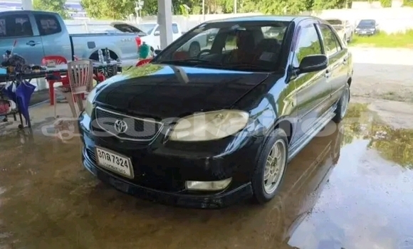ซื้อ รถมือสอง Toyota Vios สีดำ รถยนต์ ใน %{เมือง} ใน ชัยภูมิ ซื้อ รถมือสอง Toyota Vios สีดำ รถยนต์ ใน %{เมือง} ใน ชัยภูมิ