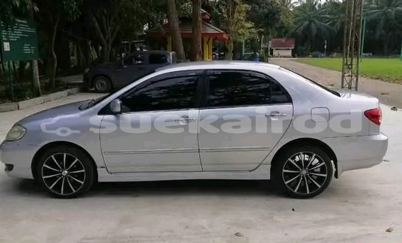 ซื้อ รถมือสอง Toyota Altis อื่น ๆ รถยนต์ ใน %{เมือง} ใน ชุมพร ซื้อ รถมือสอง Toyota Altis อื่น ๆ รถยนต์ ใน %{เมือง} ใน ชุมพร