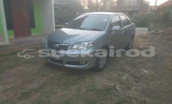 ซื้อ รถมือสอง Toyota Vios อื่น ๆ รถยนต์ ใน %{เมือง} ใน กาญจนบุรี ซื้อ รถมือสอง Toyota Vios อื่น ๆ รถยนต์ ใน %{เมือง} ใน กาญจนบุรี