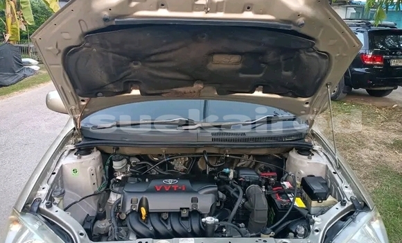 ซื้อ รถมือสอง Toyota Vios อื่น ๆ รถยนต์ ใน %{เมือง} ใน ชัยภูมิ ซื้อ รถมือสอง Toyota Vios อื่น ๆ รถยนต์ ใน %{เมือง} ใน ชัยภูมิ