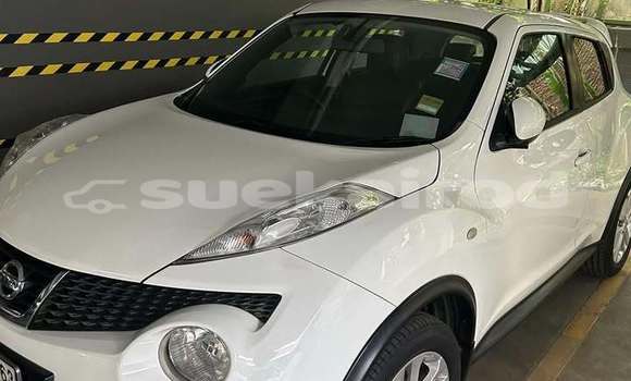 ซื้อ รถมือสอง Nissan Juke ขาว รถยนต์ ใน %{เมือง} ใน กรุงเทพมหานคร ซื้อ รถมือสอง Nissan Juke ขาว รถยนต์ ใน %{เมือง} ใน กรุงเทพมหานคร