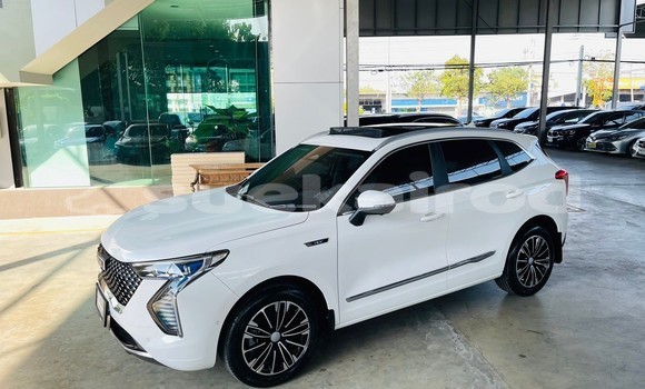 Buy Used Haval Jolion White Car in Bangkok in Bangkok