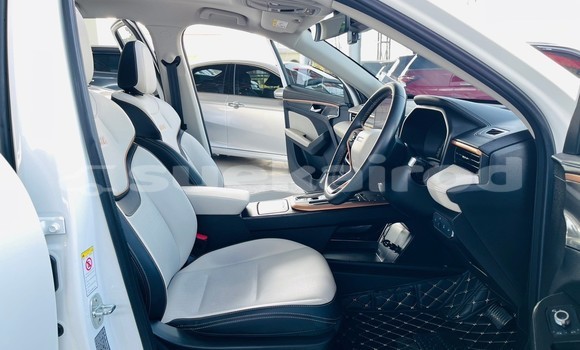 Buy Used Haval Jolion White Car in Bangkok in Bangkok Buy Used Haval Jolion White Car in Bangkok in Bangkok