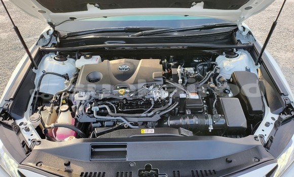 ซื้อ รถมือสอง Toyota Camry ขาว รถยนต์ ใน %{เมือง} ใน กรุงเทพมหานคร ซื้อ รถมือสอง Toyota Camry ขาว รถยนต์ ใน %{เมือง} ใน กรุงเทพมหานคร