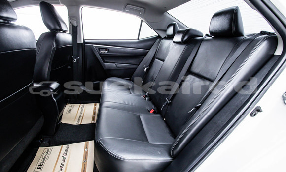 Buy Used Toyota Altis White Car in Bangkok in Bangkok Buy Used Toyota Altis White Car in Bangkok in Bangkok