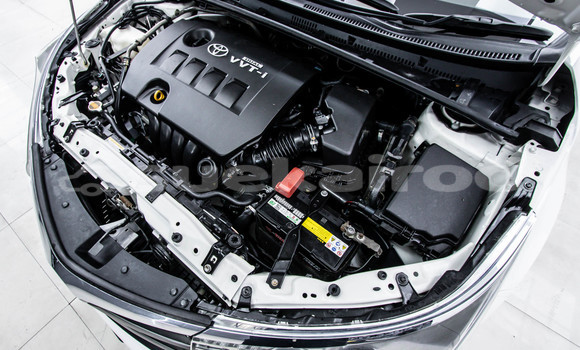 Buy Used Toyota Altis White Car in Bangkok in Bangkok Buy Used Toyota Altis White Car in Bangkok in Bangkok