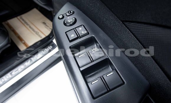 ซื้อ รถมือสอง Honda CR-V ขาว รถยนต์ ใน %{เมือง} ใน กรุงเทพมหานคร ซื้อ รถมือสอง Honda CR-V ขาว รถยนต์ ใน %{เมือง} ใน กรุงเทพมหานคร