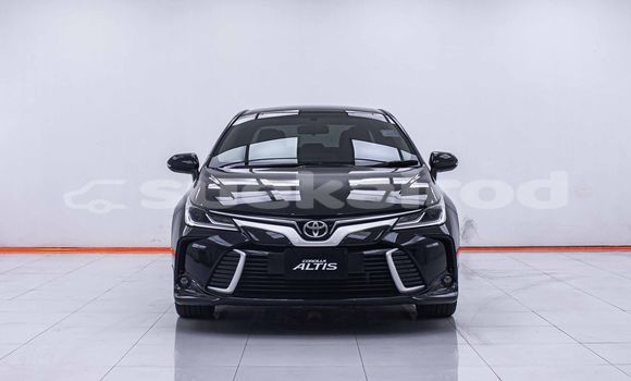 Buy Used Toyota Altis Black Car in Bangkok in Bangkok Buy Used Toyota Altis Black Car in Bangkok in Bangkok