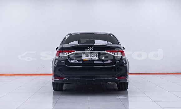 Buy Used Toyota Altis Black Car in Bangkok in Bangkok Buy Used Toyota Altis Black Car in Bangkok in Bangkok