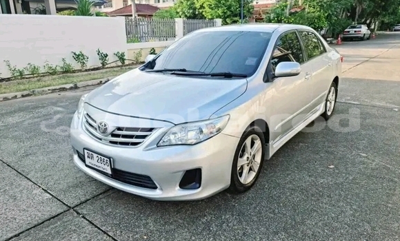 ซื้อ รถมือสอง Toyota Altis ขาว รถยนต์ ใน %{เมือง} ใน ชัยภูมิ ซื้อ รถมือสอง Toyota Altis ขาว รถยนต์ ใน %{เมือง} ใน ชัยภูมิ