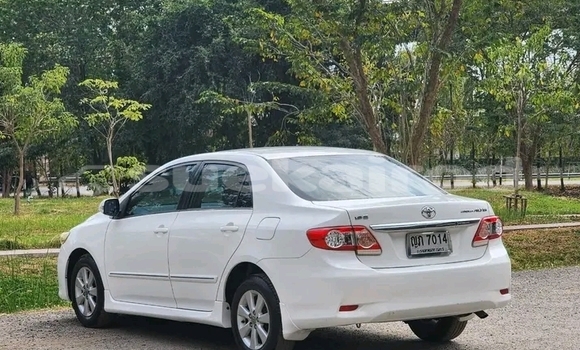 ซื้อ รถมือสอง Toyota Altis ขาว รถยนต์ ใน %{เมือง} ใน ชัยภูมิ ซื้อ รถมือสอง Toyota Altis ขาว รถยนต์ ใน %{เมือง} ใน ชัยภูมิ