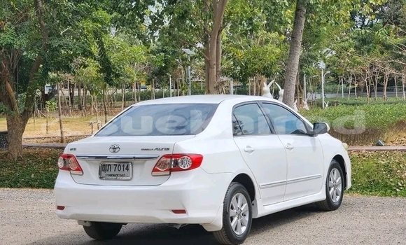 ซื้อ รถมือสอง Toyota Altis ขาว รถยนต์ ใน %{เมือง} ใน ชัยภูมิ ซื้อ รถมือสอง Toyota Altis ขาว รถยนต์ ใน %{เมือง} ใน ชัยภูมิ