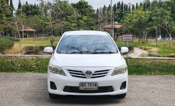 ซื้อ รถมือสอง Toyota Altis ขาว รถยนต์ ใน %{เมือง} ใน ชัยภูมิ ซื้อ รถมือสอง Toyota Altis ขาว รถยนต์ ใน %{เมือง} ใน ชัยภูมิ