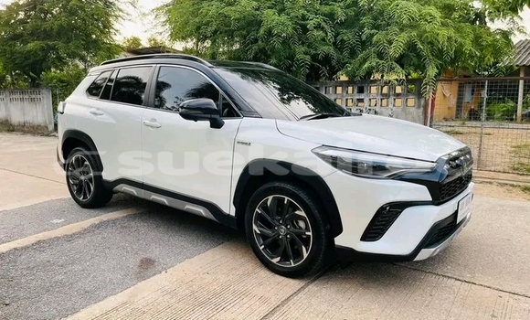 ซื้อ รถมือสอง Toyota Corolla ขาว รถยนต์ ใน %{เมือง} ใน ชัยภูมิ ซื้อ รถมือสอง Toyota Corolla ขาว รถยนต์ ใน %{เมือง} ใน ชัยภูมิ