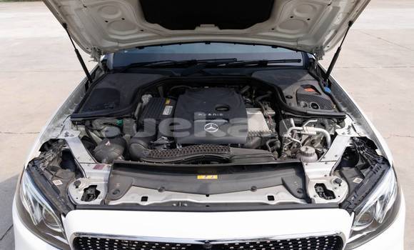 ซื้อ รถมือสอง Mercedes-Benz E-Classe ขาว รถยนต์ ใน %{เมือง} ใน นนทบุรี ซื้อ รถมือสอง Mercedes-Benz E-Classe ขาว รถยนต์ ใน %{เมือง} ใน นนทบุรี