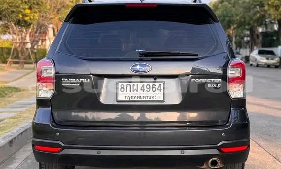 ซื้อ รถมือสอง Subaru Forester สีดำ รถยนต์ ใน %{เมือง} ใน ชัยนาท ซื้อ รถมือสอง Subaru Forester สีดำ รถยนต์ ใน %{เมือง} ใน ชัยนาท
