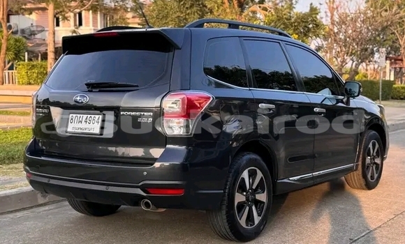 ซื้อ รถมือสอง Subaru Forester สีดำ รถยนต์ ใน %{เมือง} ใน ชัยนาท ซื้อ รถมือสอง Subaru Forester สีดำ รถยนต์ ใน %{เมือง} ใน ชัยนาท