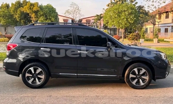 ซื้อ รถมือสอง Subaru Forester สีดำ รถยนต์ ใน %{เมือง} ใน ชัยนาท ซื้อ รถมือสอง Subaru Forester สีดำ รถยนต์ ใน %{เมือง} ใน ชัยนาท