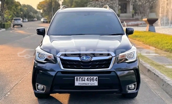 ซื้อ รถมือสอง Subaru Forester สีดำ รถยนต์ ใน %{เมือง} ใน ชัยนาท ซื้อ รถมือสอง Subaru Forester สีดำ รถยนต์ ใน %{เมือง} ใน ชัยนาท