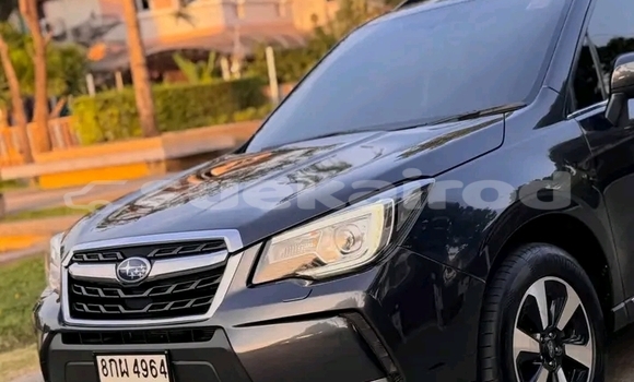 ซื้อ รถมือสอง Subaru Forester สีดำ รถยนต์ ใน %{เมือง} ใน ชัยนาท ซื้อ รถมือสอง Subaru Forester สีดำ รถยนต์ ใน %{เมือง} ใน ชัยนาท