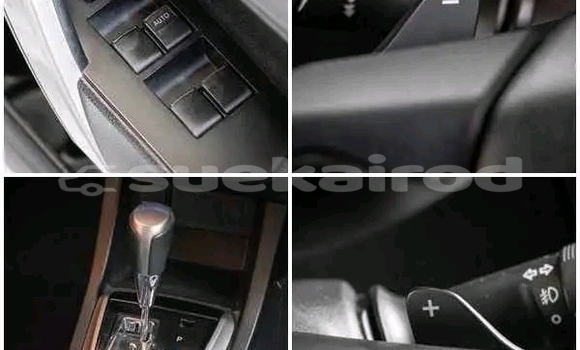 Buy Used Toyota Altis White Car in Chiang Mai in Chiang Mai