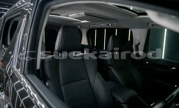 ซื้อ รถมือสอง Toyota Alphard สีดำ รถยนต์ ใน %{เมือง} ใน ชัยนาท ซื้อ รถมือสอง Toyota Alphard สีดำ รถยนต์ ใน %{เมือง} ใน ชัยนาท